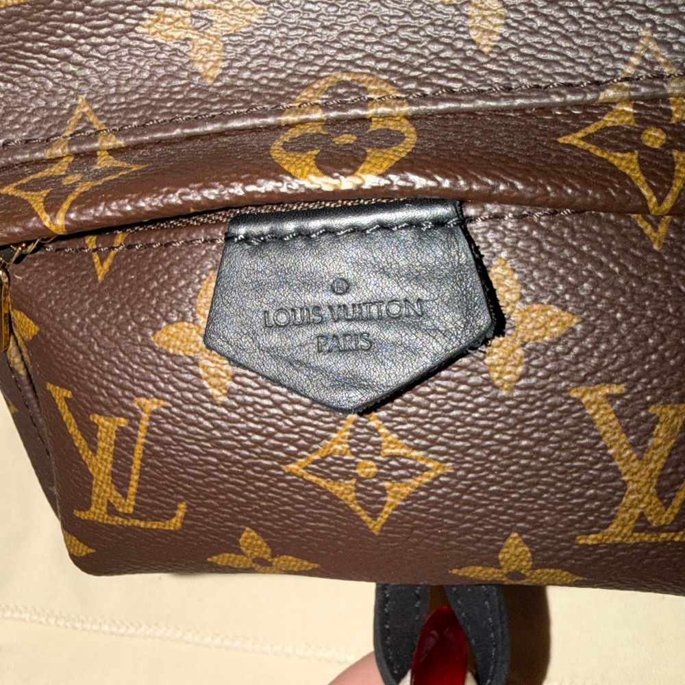 Louis Vuitton M44873 Palm Springs Mini - Picture 13 of 13